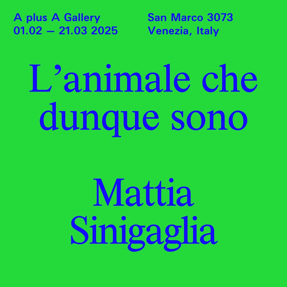 L’animale che dunque sono 